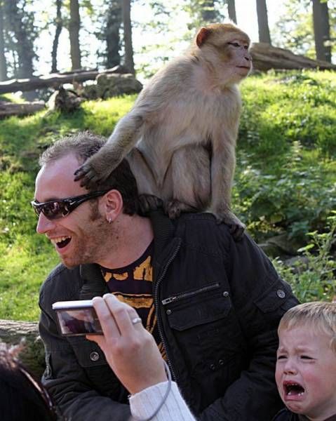 Daily Pictures. Part 1 (68 pics)