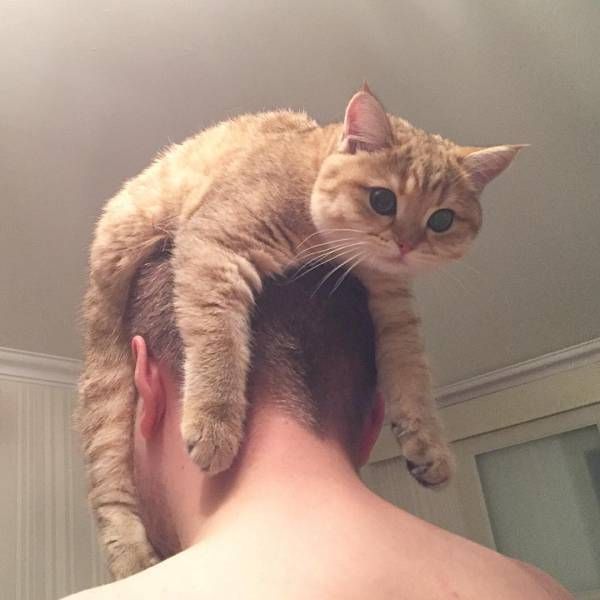 Daily Pictures. Part 1 (68 pics)