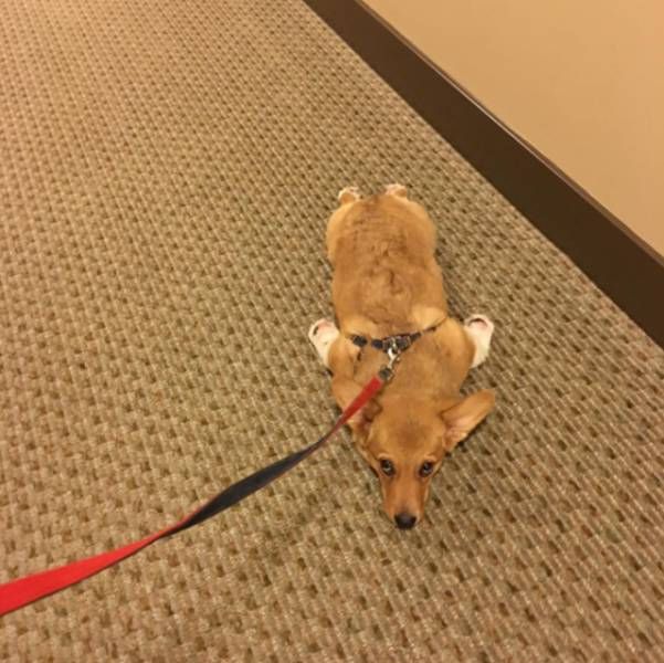 Daily Pictures. Part 1 (68 pics)