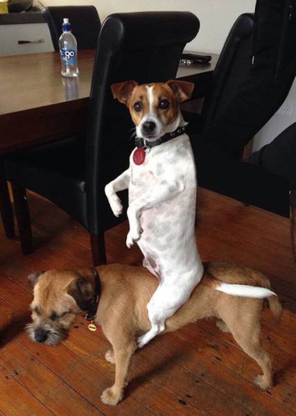 Daily Pictures. Part 1 (68 pics)