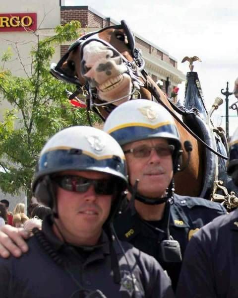 Daily Pictures. Part 2 (67 pics)