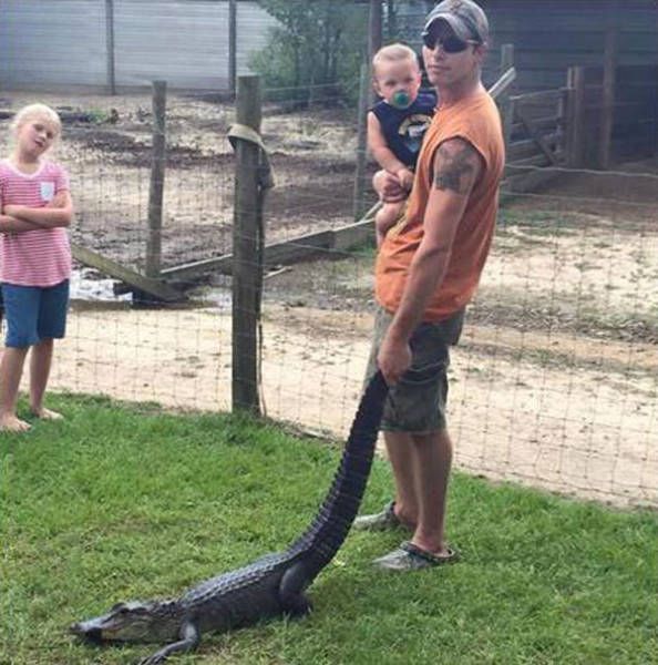 Daily Pictures. Part 2 (67 pics)