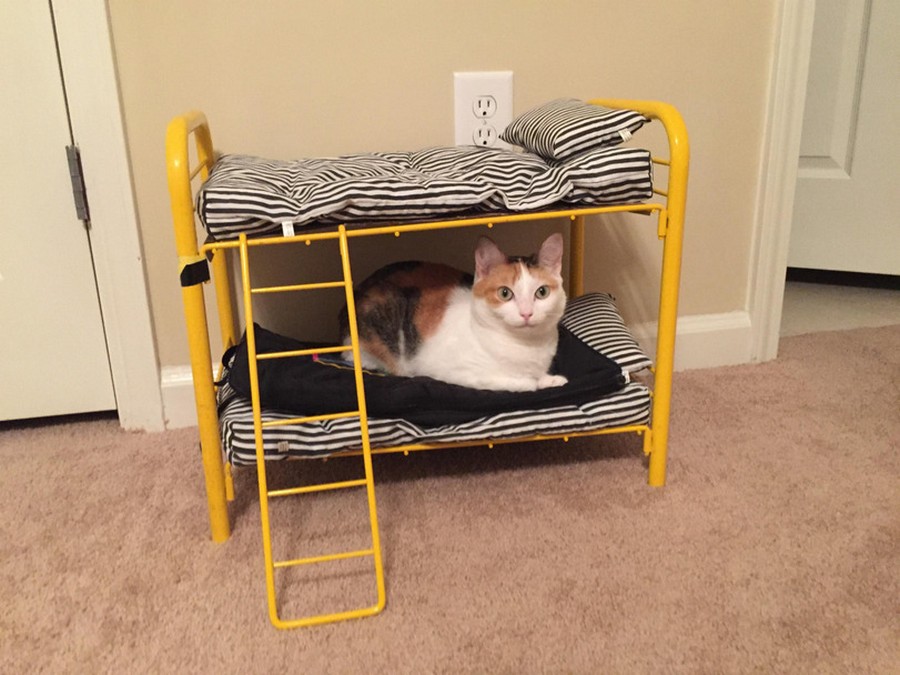 Daily Pictures. Part 2 (67 pics)