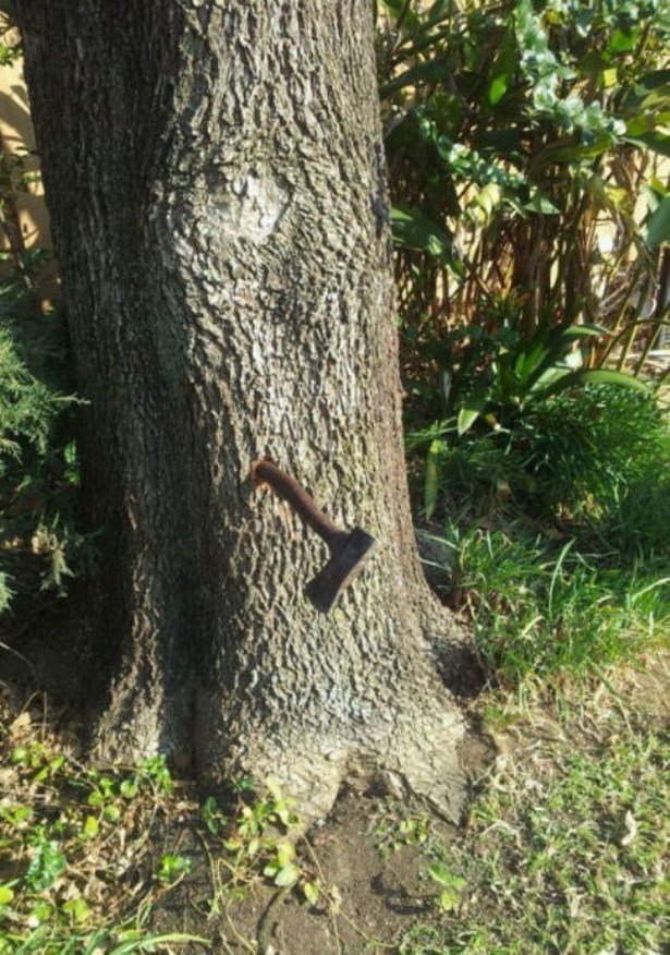 Daily Pictures. Part 2 (67 pics)