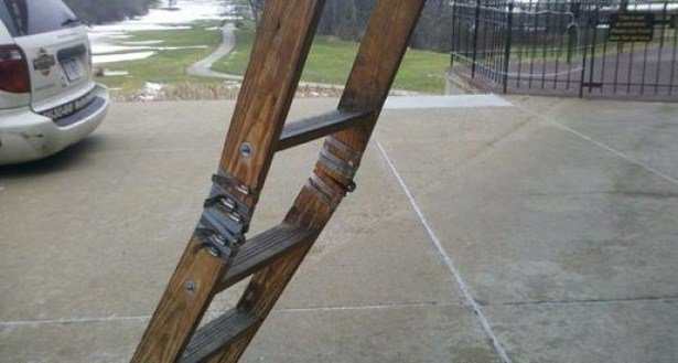 Daily Pictures. Part 2 (67 pics)