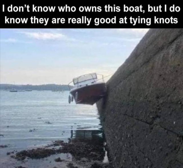 Daily Pictures. Part 2 (67 pics)