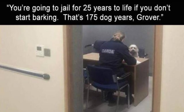 Daily Pictures. Part 2 (67 pics)