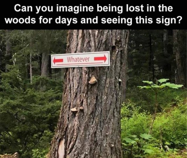 Daily Pictures. Part 2 (67 pics)