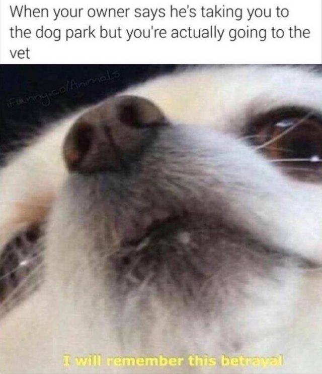 Daily Pictures. Part 2 (67 pics)