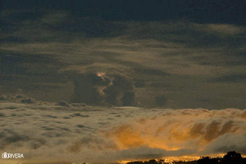 Acid GIFs, February 17 (25 gifs)