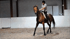 Acid GIFs, February 17 (25 gifs)