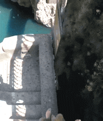 Acid GIFs, February 17 (25 gifs)