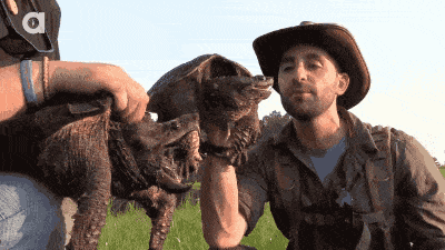 Acid GIFs, February 17 (25 gifs)