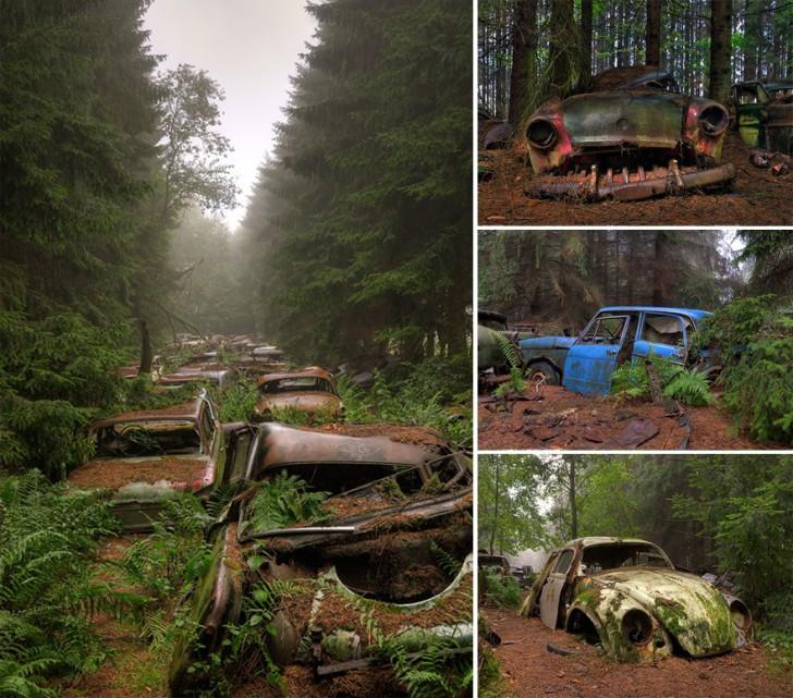 The Power Of Nature (18 pics) The Power Of Nature (18 pics)