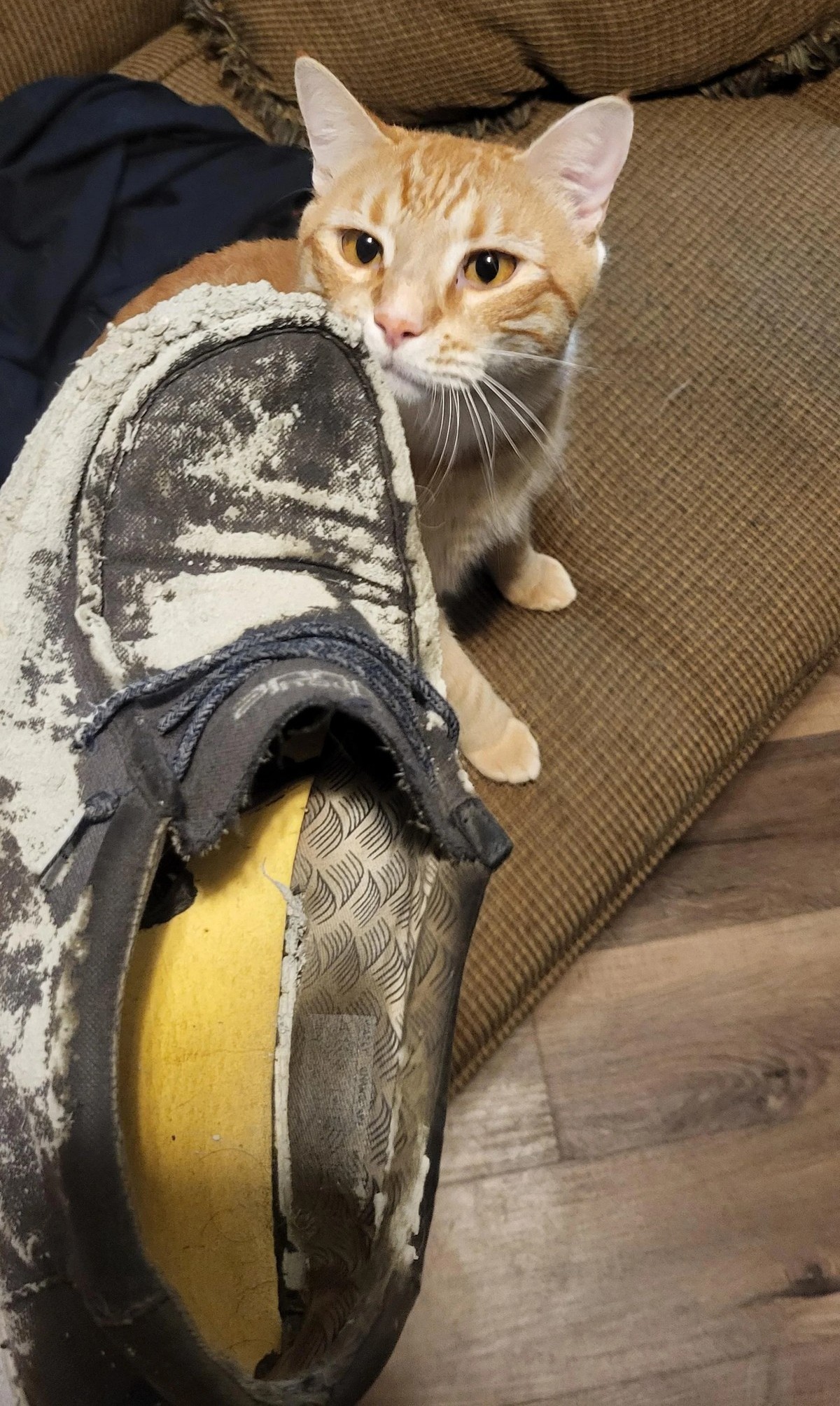 Bad Days Happen (31 pics) Bad Days Happen (31 pics)