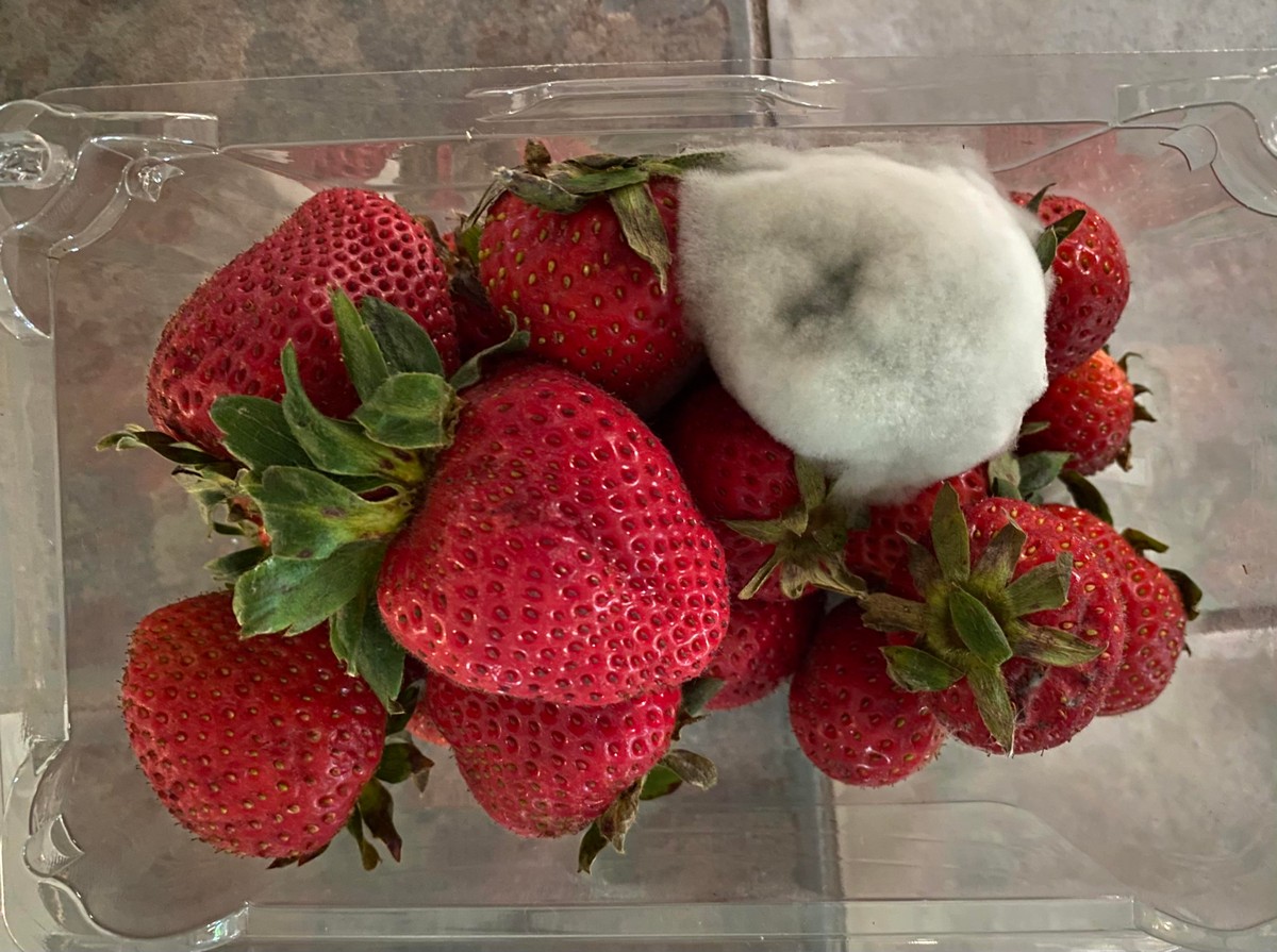 Bad Days Happen (31 pics) Bad Days Happen (31 pics)