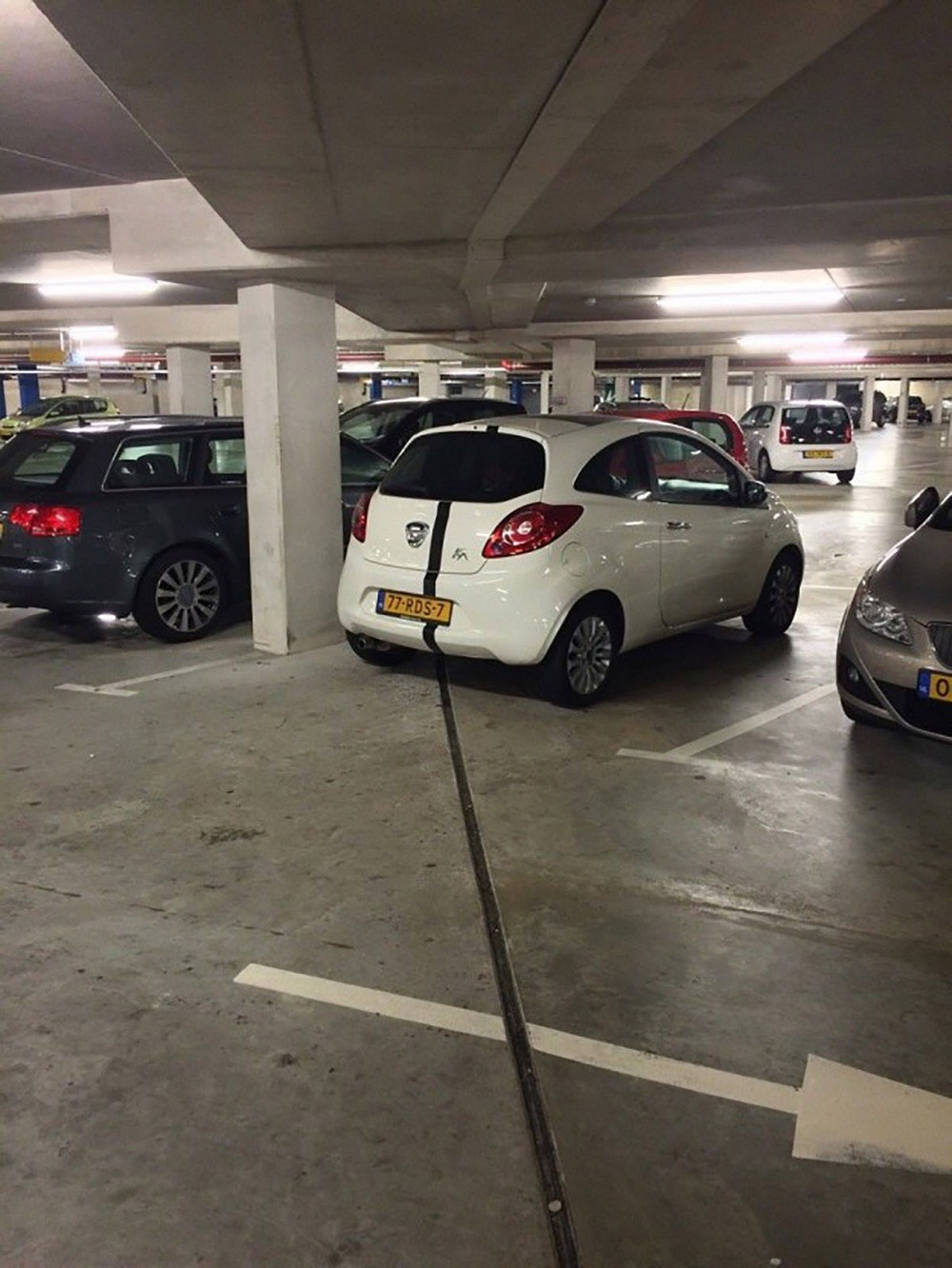 Photos For Perfectionists (25 pics) Photos For Perfectionists (25 pics)