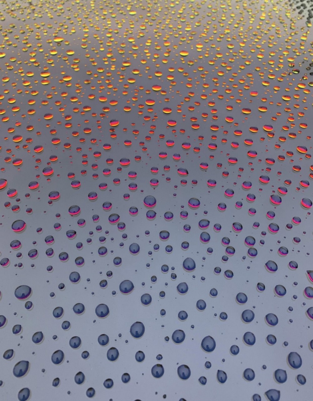 Photos For Perfectionists (25 pics) Photos For Perfectionists (25 pics)