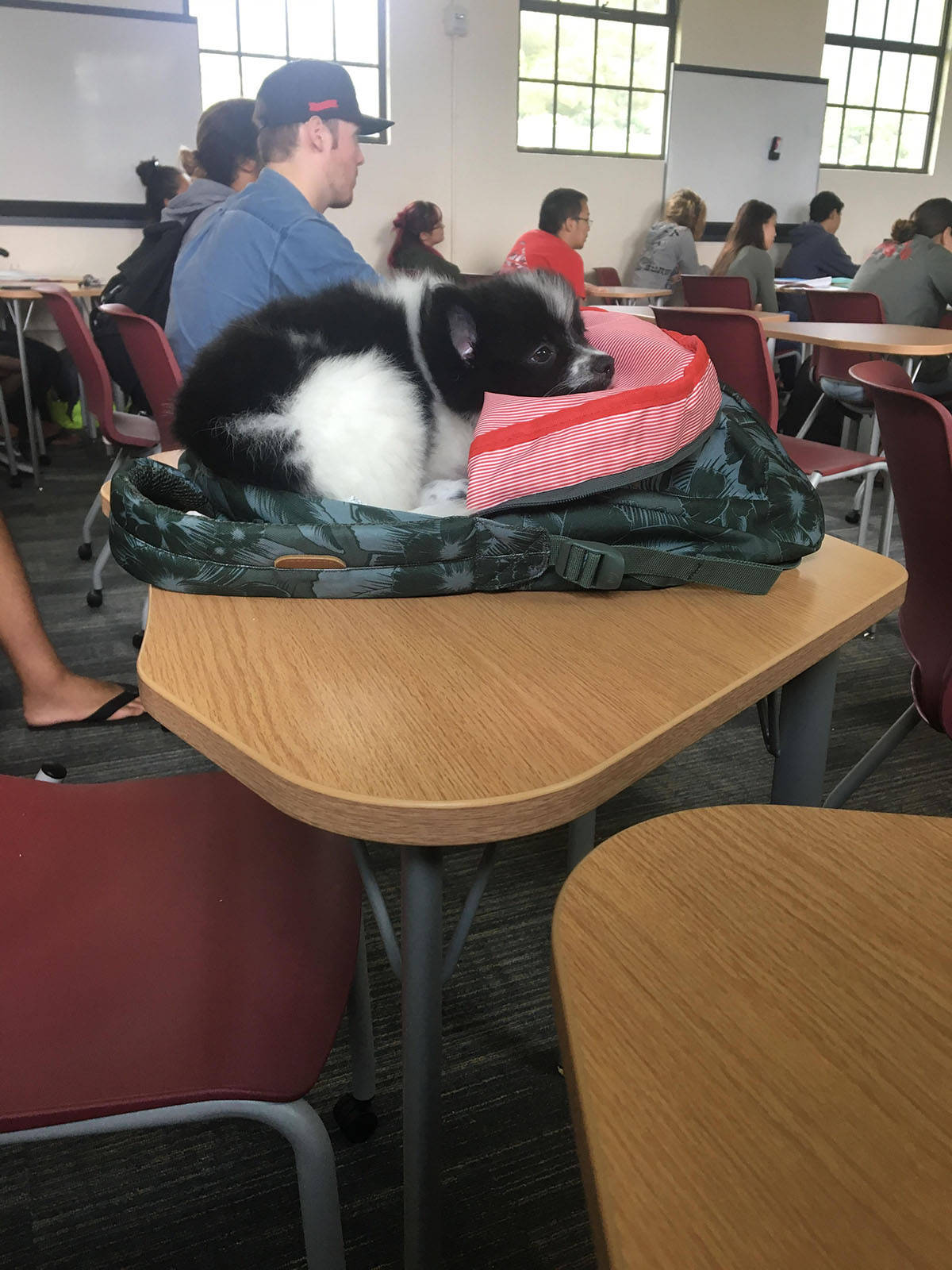 Daily Pictures. Part 1 (67 pics) Daily Pictures. Part 1 (67 pics)