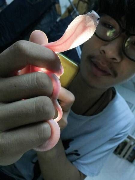 Daily Pictures. Part 1 (67 pics) Daily Pictures. Part 1 (67 pics)