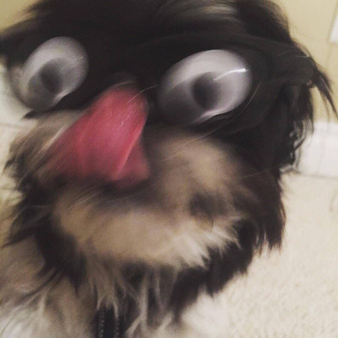 Daily Pictures. Part 1 (67 pics) Daily Pictures. Part 1 (67 pics)