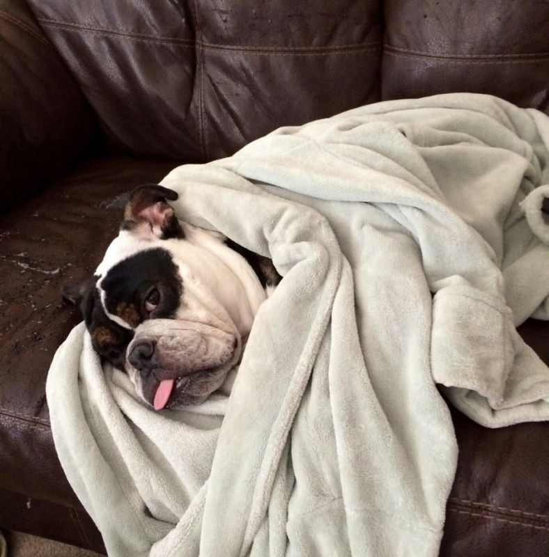 Daily Pictures. Part 1 (67 pics) Daily Pictures. Part 1 (67 pics)