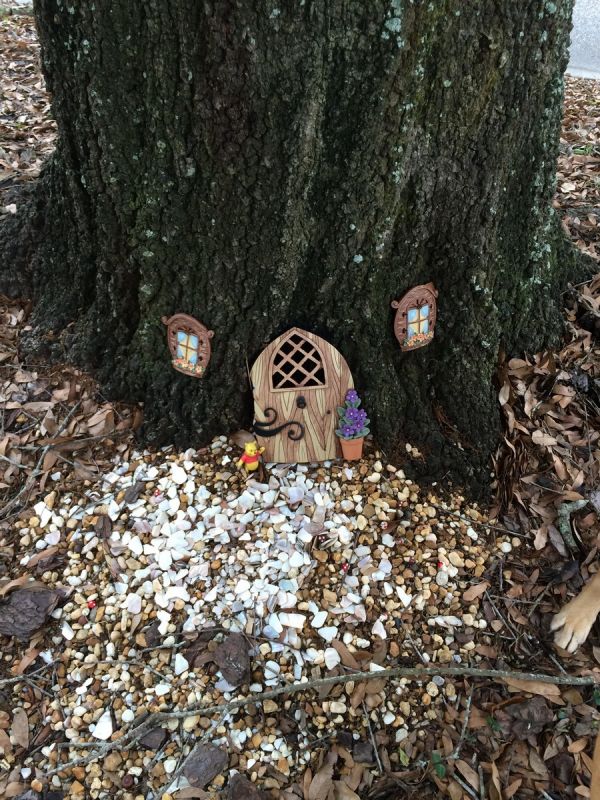 Daily Pictures. Part 1 (67 pics) Daily Pictures. Part 1 (67 pics)