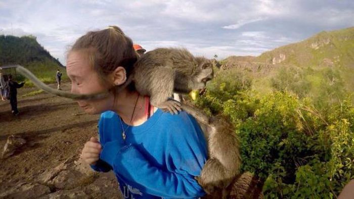 Daily Pictures. Part 1 (67 pics) Daily Pictures. Part 1 (67 pics)