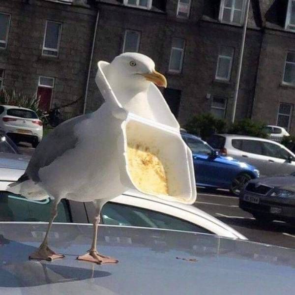 Daily Pictures. Part 1 (67 pics) Daily Pictures. Part 1 (67 pics)