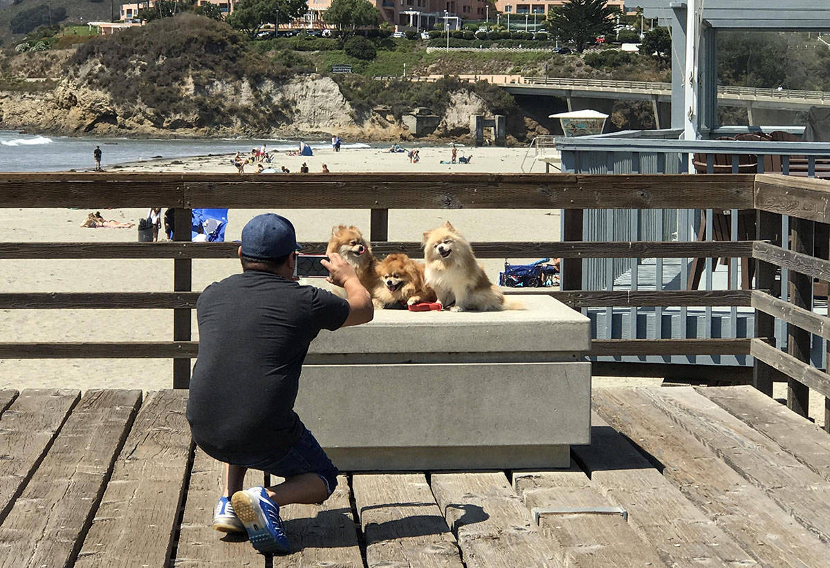 Daily Pictures. Part 1 (67 pics) Daily Pictures. Part 1 (67 pics)