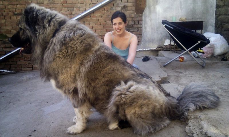 Daily Pictures. Part 1 (67 pics) Daily Pictures. Part 1 (67 pics)