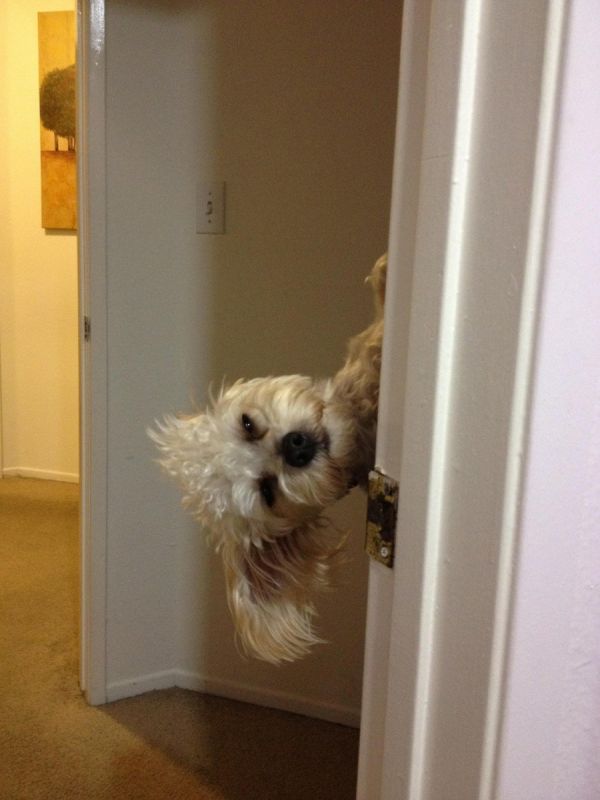 Daily Pictures. Part 1 (67 pics) Daily Pictures. Part 1 (67 pics)