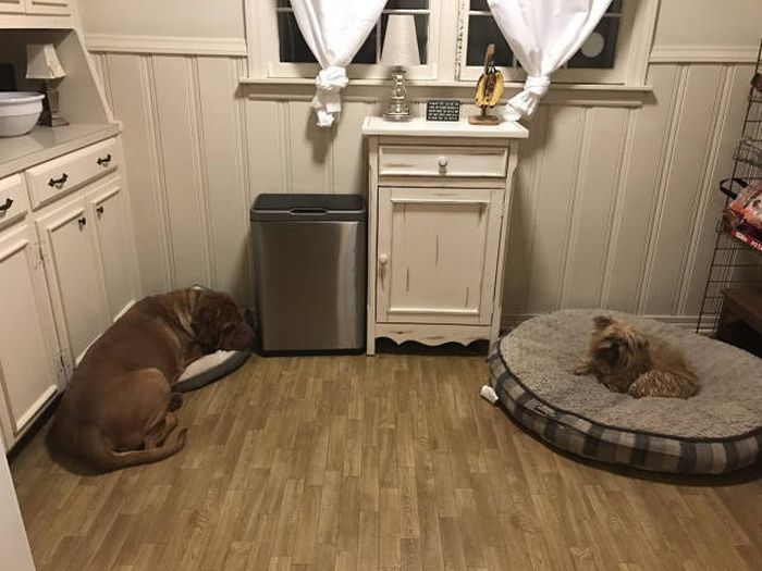 Daily Pictures. Part 1 (67 pics) Daily Pictures. Part 1 (67 pics)