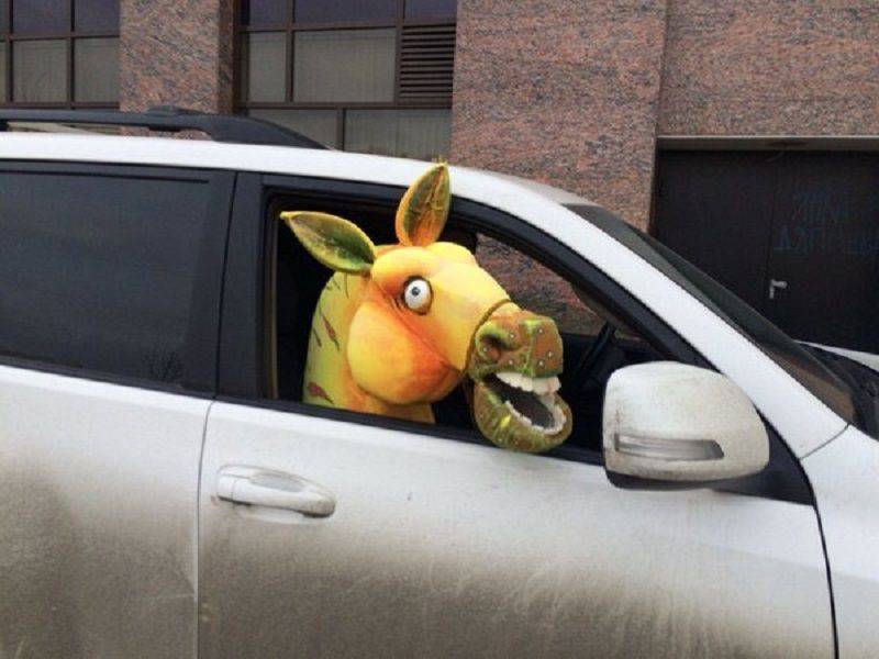 Daily Pictures. Part 2 (66 pics)