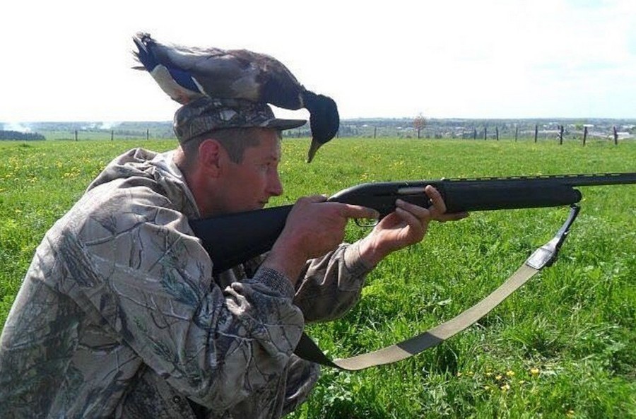 Daily Pictures. Part 2 (66 pics)