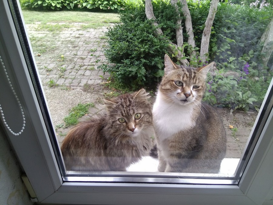 Daily Pictures. Part 2 (66 pics)