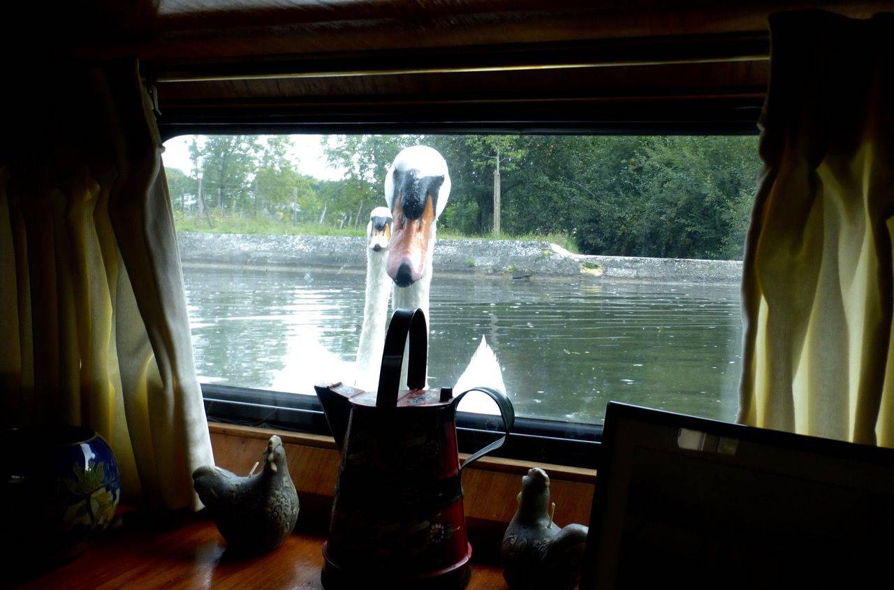 Daily Pictures. Part 1 (67 pics) Daily Pictures. Part 1 (67 pics)