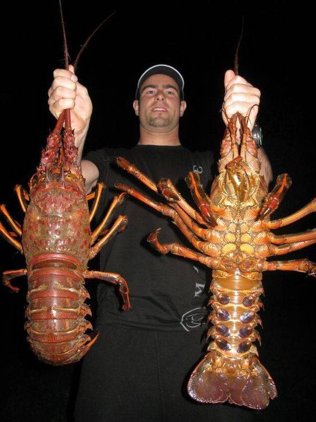 Daily Pictures. Part 1 (67 pics) Daily Pictures. Part 1 (67 pics)