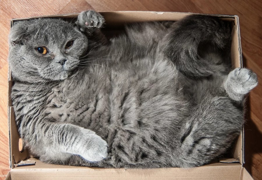 Daily Pictures. Part 2 (66 pics)