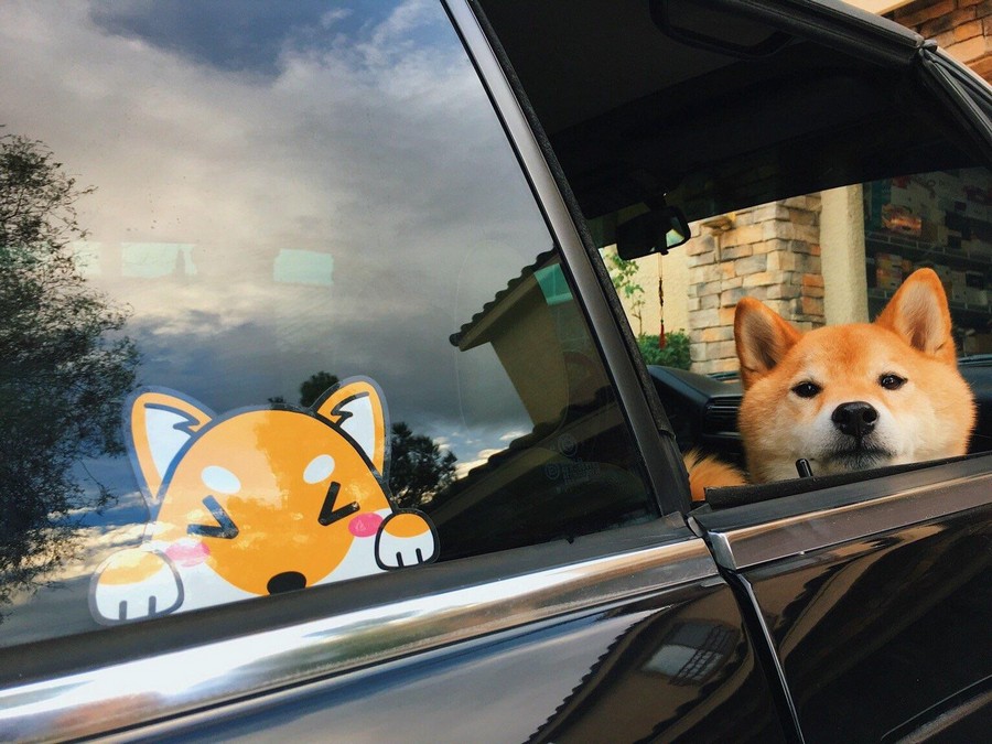 Daily Pictures. Part 2 (66 pics)