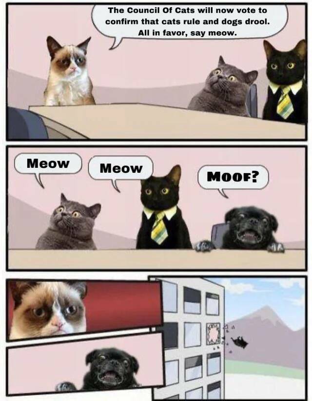 Daily Pictures. Part 2 (66 pics)