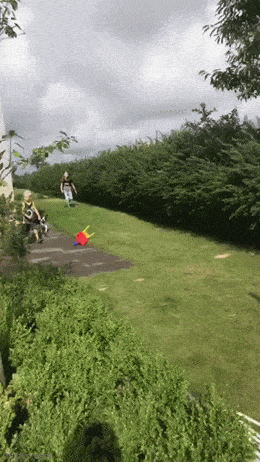 Acid GIFs, February 18 (25 gifs)