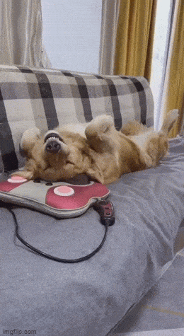 Acid GIFs, February 18 (25 gifs)