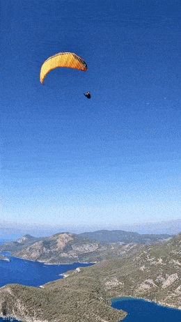 Acid GIFs, February 18 (25 gifs)