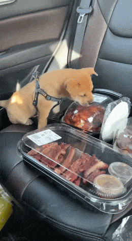 Acid GIFs, February 18 (25 gifs)