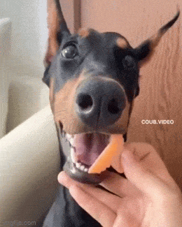 Acid GIFs, February 18 (25 gifs)