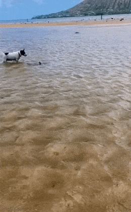 Acid GIFs, February 18 (25 gifs)