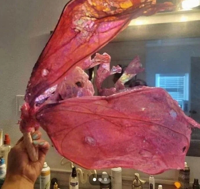 Strange DIY Crafts (23 pics) Strange DIY Crafts (23 pics)