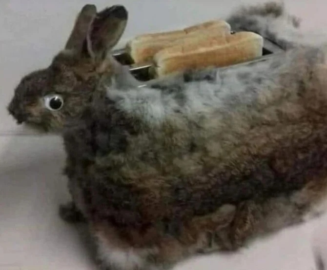 Strange DIY Crafts (23 pics) Strange DIY Crafts (23 pics)