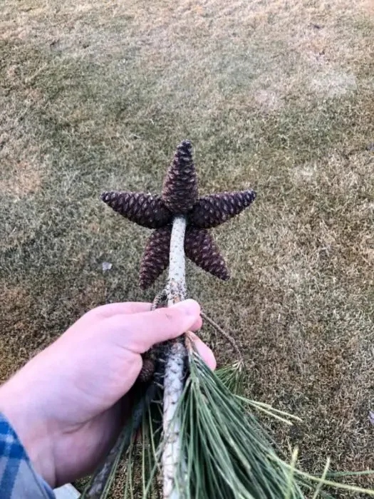 Photos For Perfectionists (18 pics) Photos For Perfectionists (18 pics)